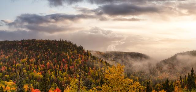 panoramic view of Canadian Landscape on the Atlantic Ocean Coast during an Autumn Season